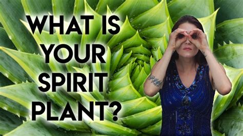 The Power of Herbalism: Insights from a Seasoned Plant Magic Practitioner